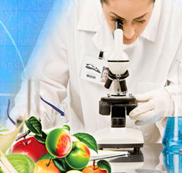 山東檢驗(yàn)檢疫局食品農(nóng)產(chǎn)品檢測(cè)中心 黨員技術(shù)服務(wù)熱線，筑牢食品安全防線